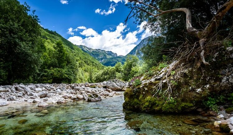idyllic-mountain-river-lepena-valley-soca-bovec-slovenia-heading-towards-sunik-water-grove-lepenca-beautiful-landscape-scene-122025897.thumb.jpg.0d9b27eca9994de77567c2014d706897.jpg